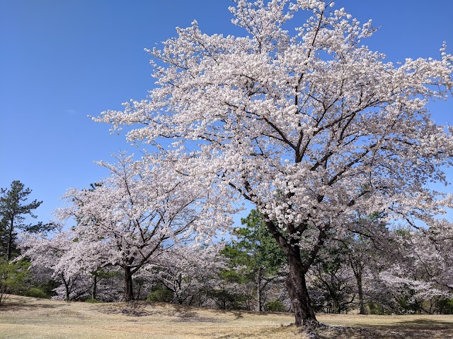 (Phoenix Golf Club) - Photo 3