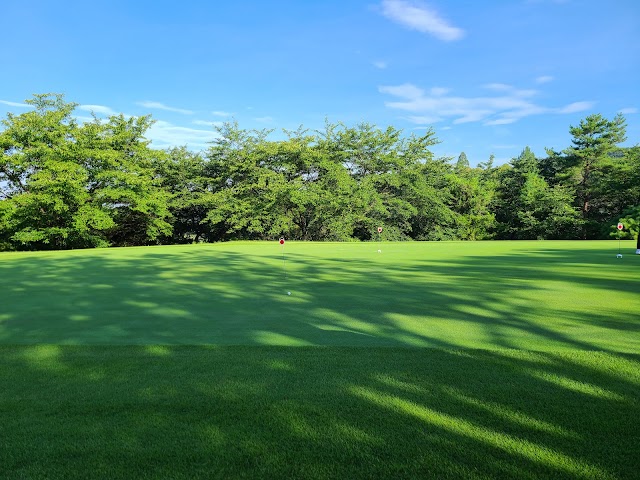 (Phoenix Golf Club) - Photo 1