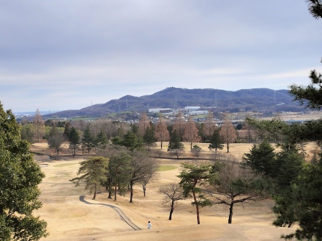 (Phoenix Golf Club) - Photo 5