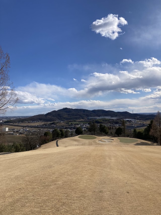 (Phoenix Golf Club) - Photo 9