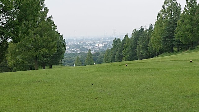 (Phoenix Golf Club) - Photo 2