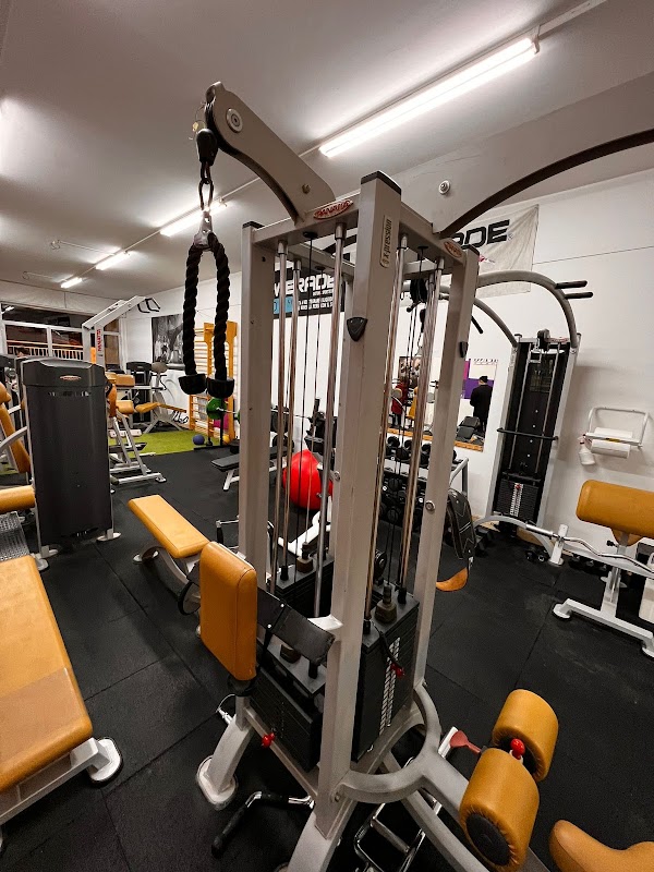 Jumping Gym Fitness