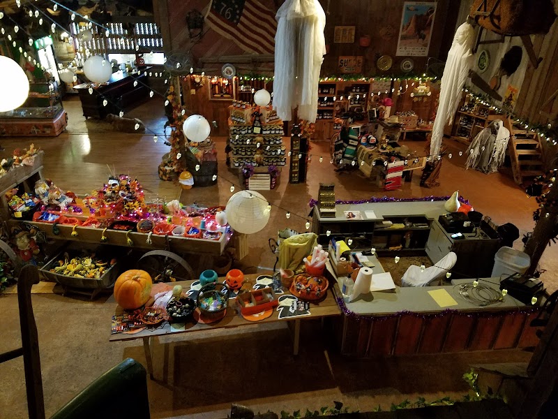 Bellevue Berry & Pumpkin Ranch - Photo 4