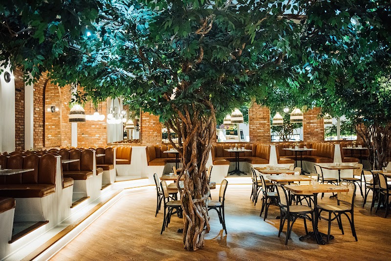 Pigeon Club Cafe photo 1