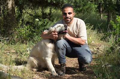 עופר שבתאי אילוף כלבים וכלבנות טיפולית