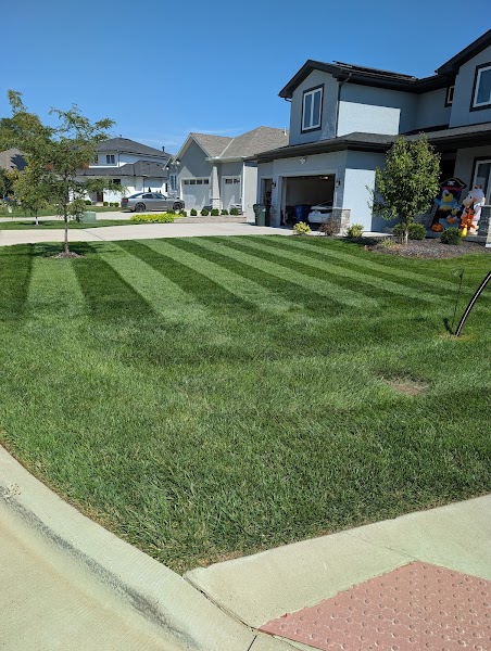 Mowtown Lawn Care llc