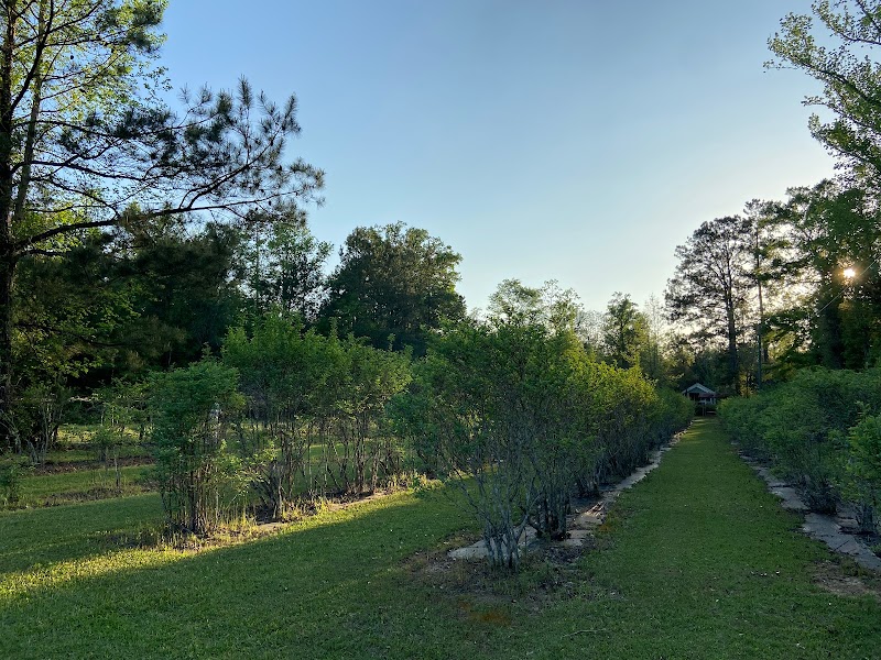 Sunhillow Farm - Photo 6