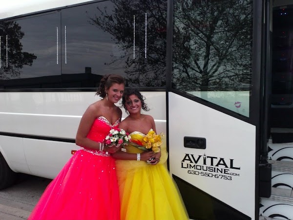 Avital Chicago Limousine and Party Bus portfolio