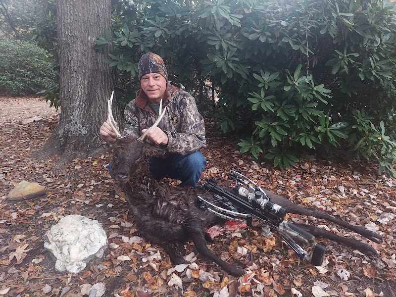 Guided Sika Deer MD & Black Bear Hunting - Photo 1