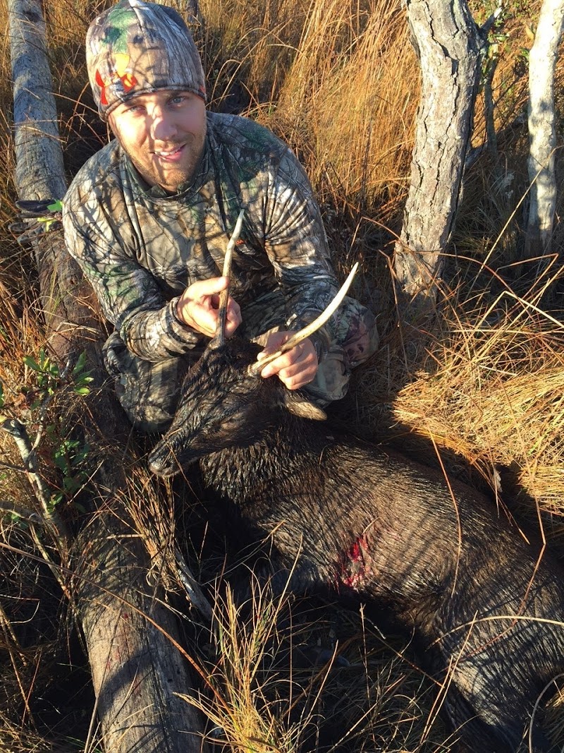 Guided Sika Deer MD & Black Bear Hunting - Photo 5