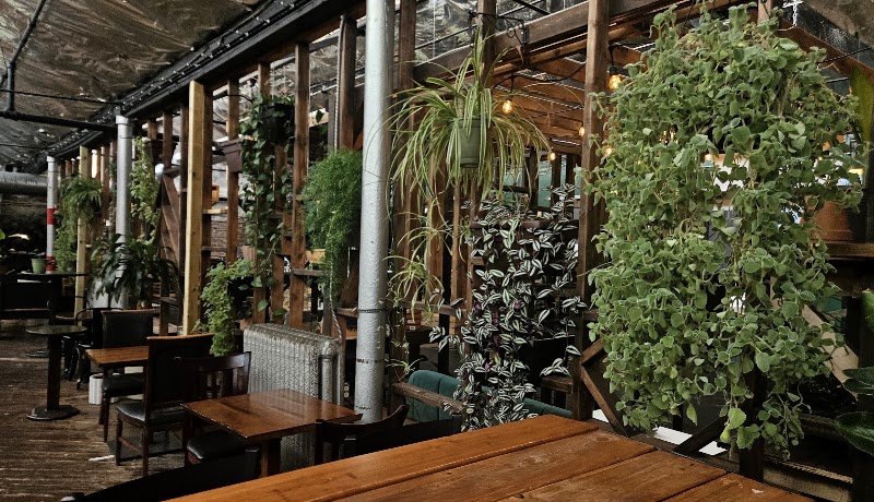 Earth Coffeehouse & Cafe photo 2