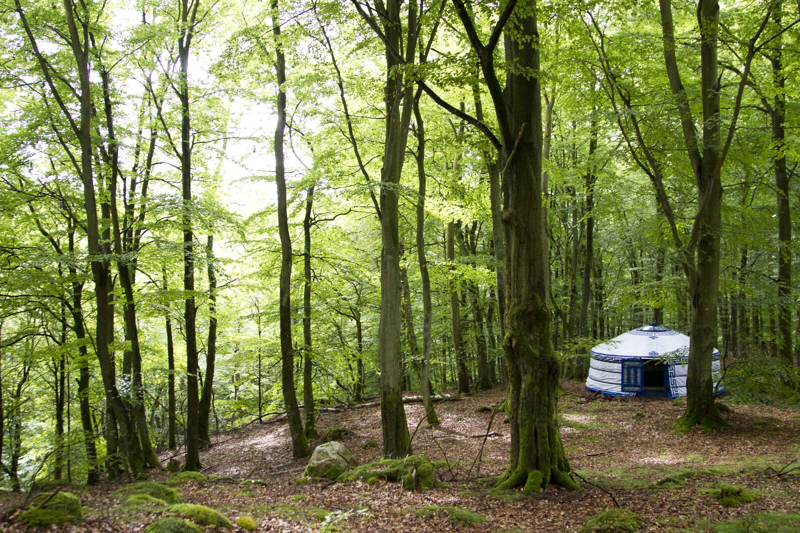 Nyrups Naturhotell