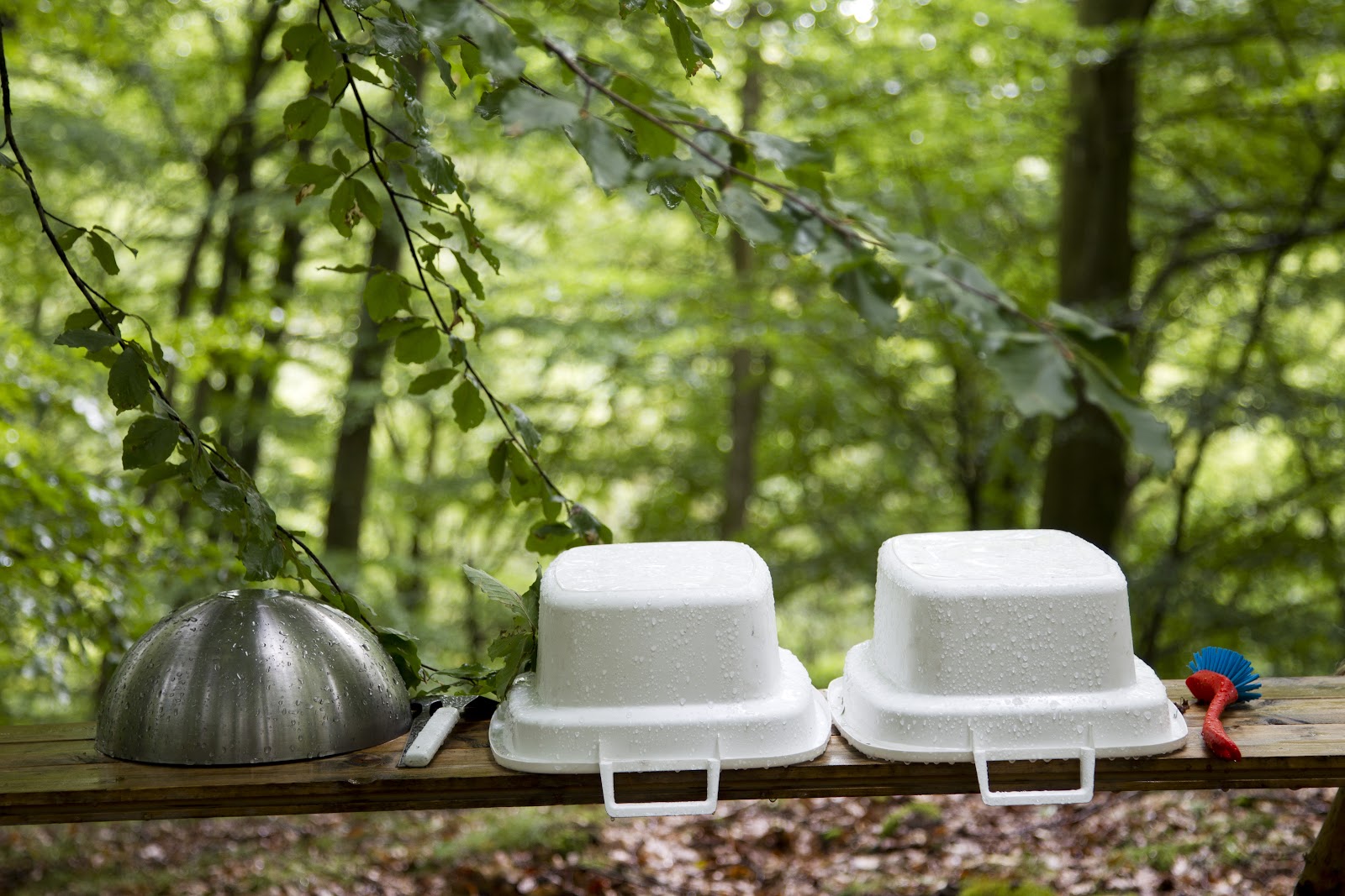 Nyrups Naturhotell
