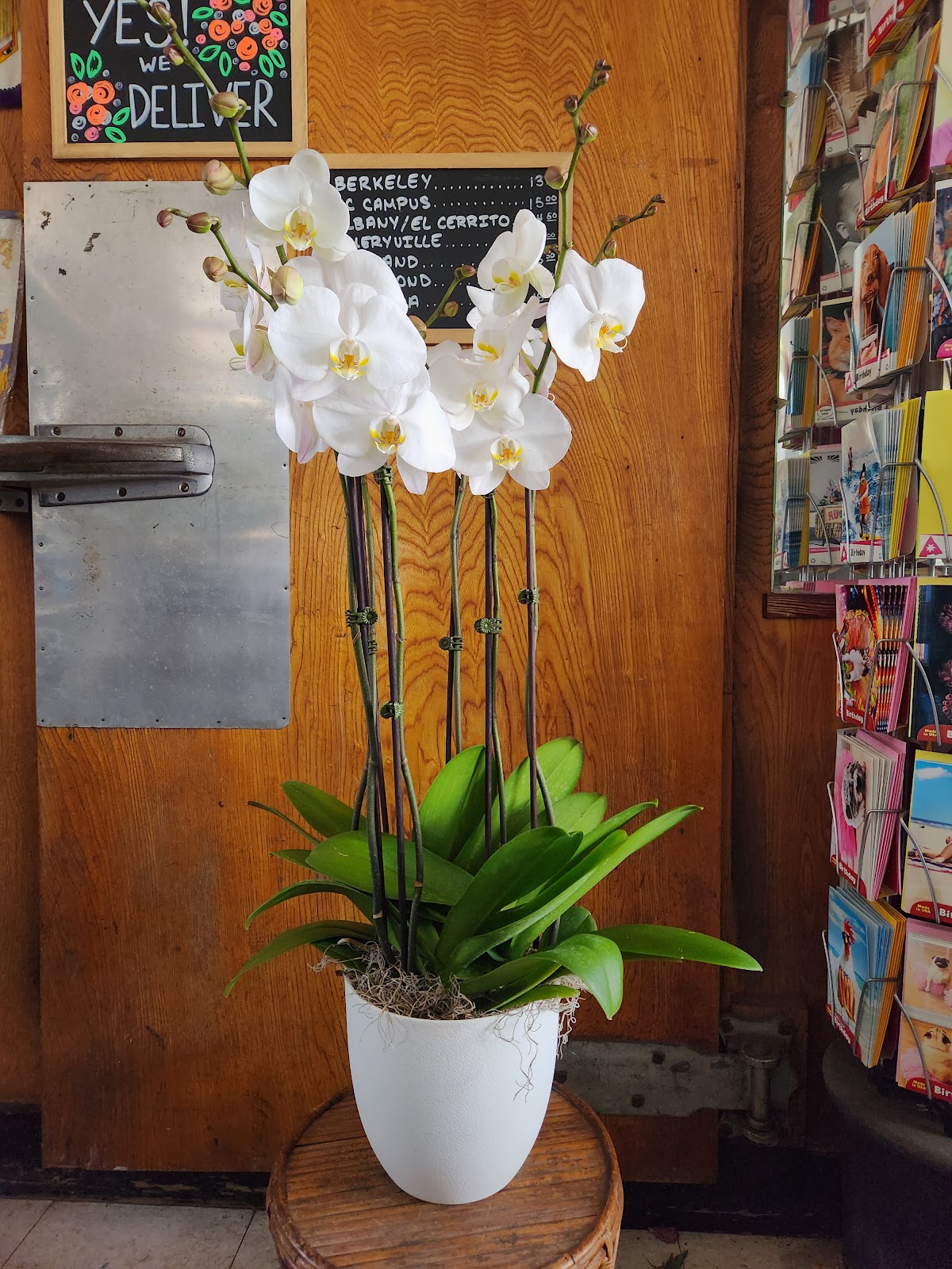 Lee's Florist & Nursery: Google Places image 3