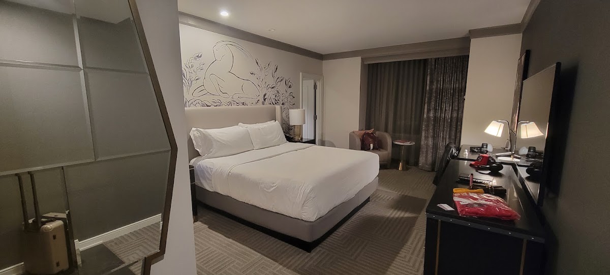 The Gwen Chicago, dog-friendly hotel, photo 5