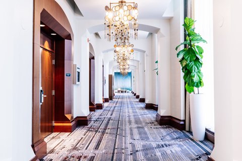 The Gwen Chicago, dog-friendly hotel in Chicago