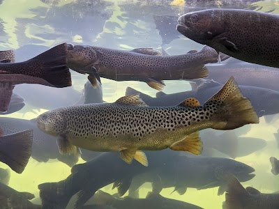 D.C. Booth Historic National Fish Hatchery And Museum