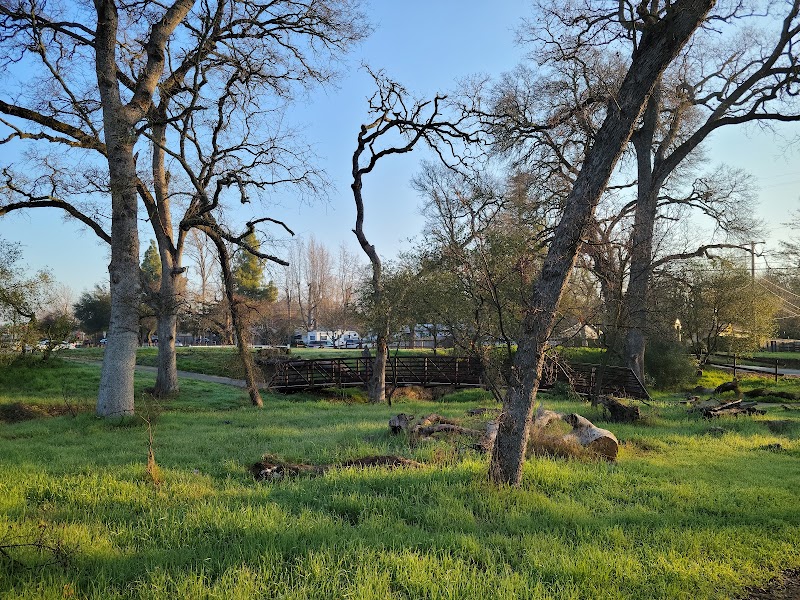 Orangevale Community Park photo 2