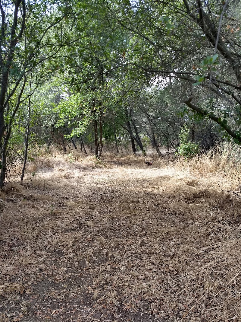 Orangevale Community Park photo 5