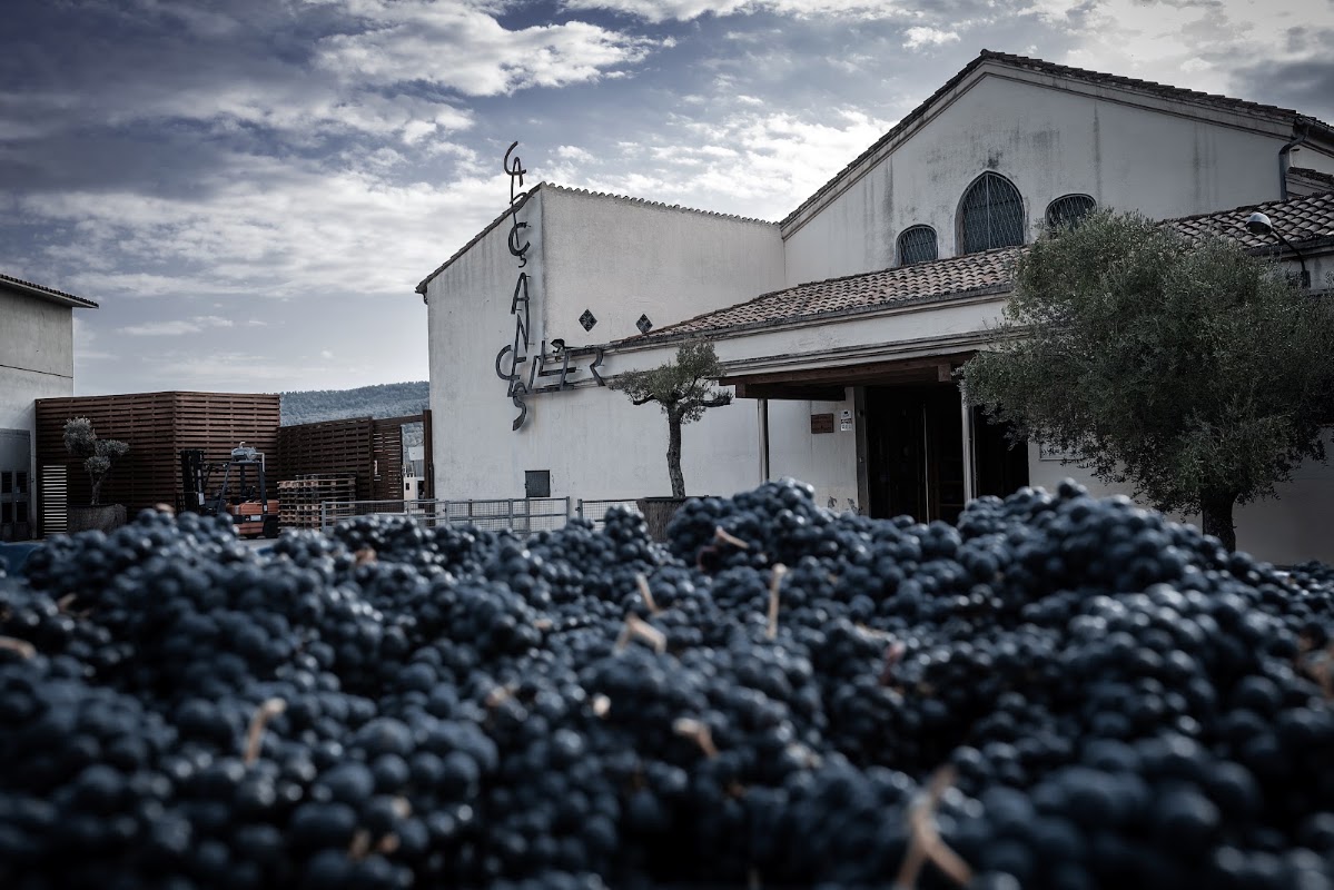 Celler de Capçanes