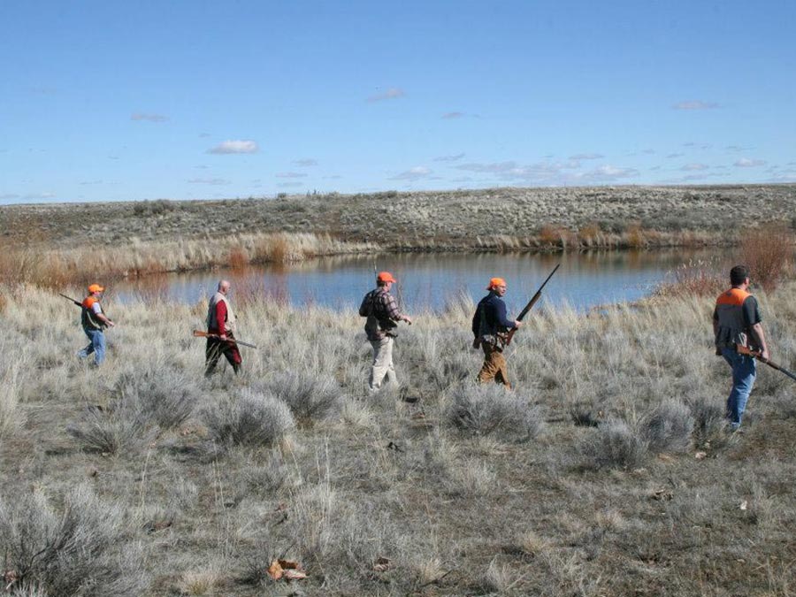 Sage Canyon Outfitters