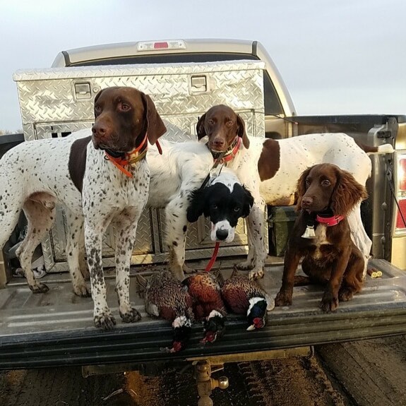 Sage Canyon Outfitters - Photo 5