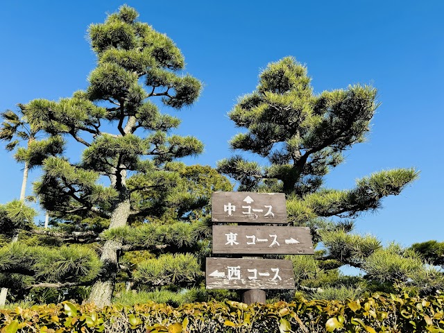 Chita Country Club - Photo 5