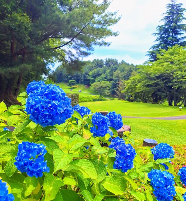 Katano Country Club - Photo 8
