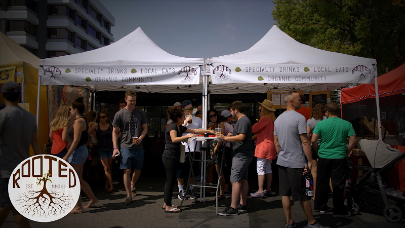 Rooted Coffee Co photo 3