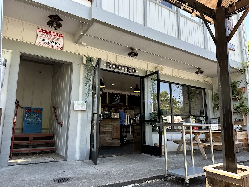 Rooted Coffee Co photo 1