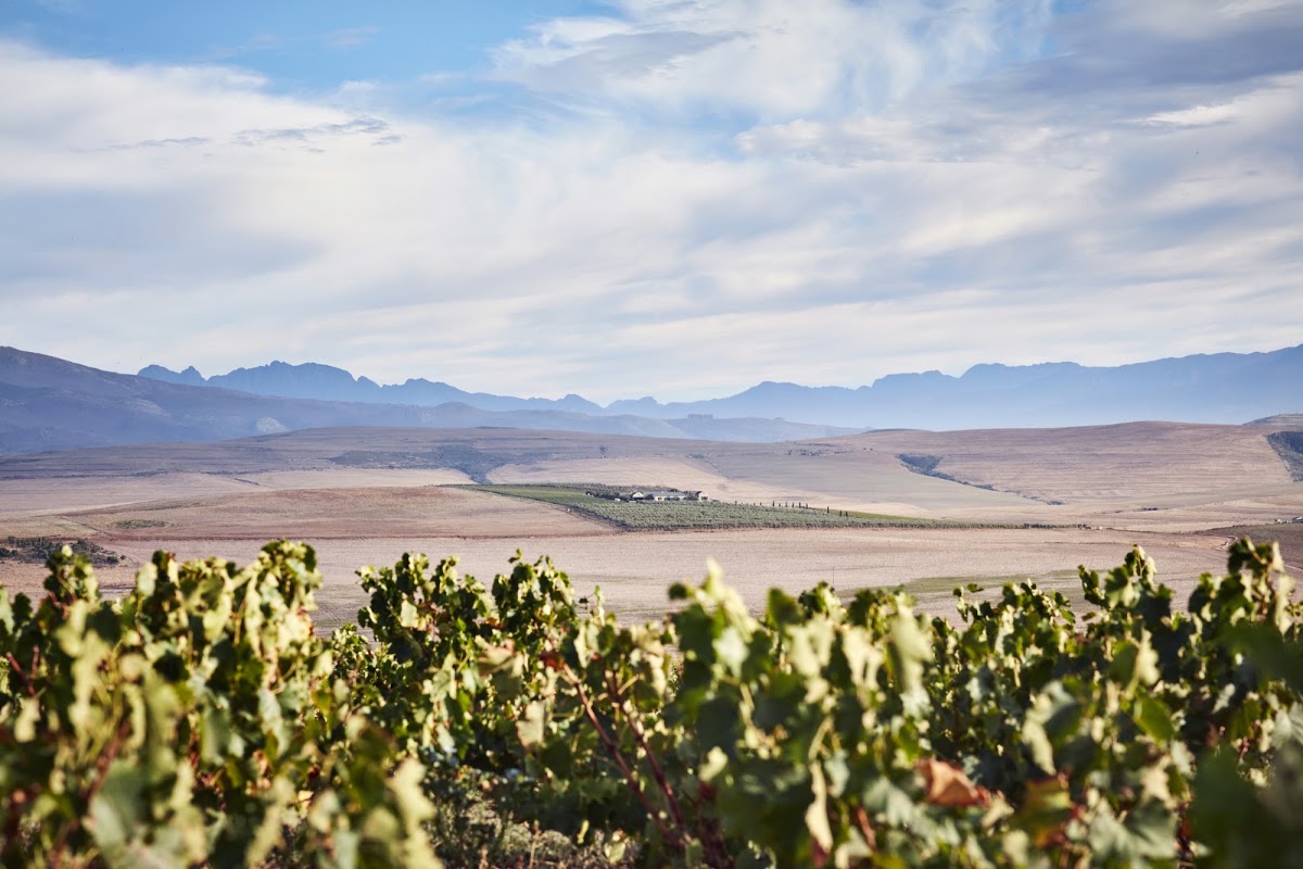 Gabrielskloof Wine Estate