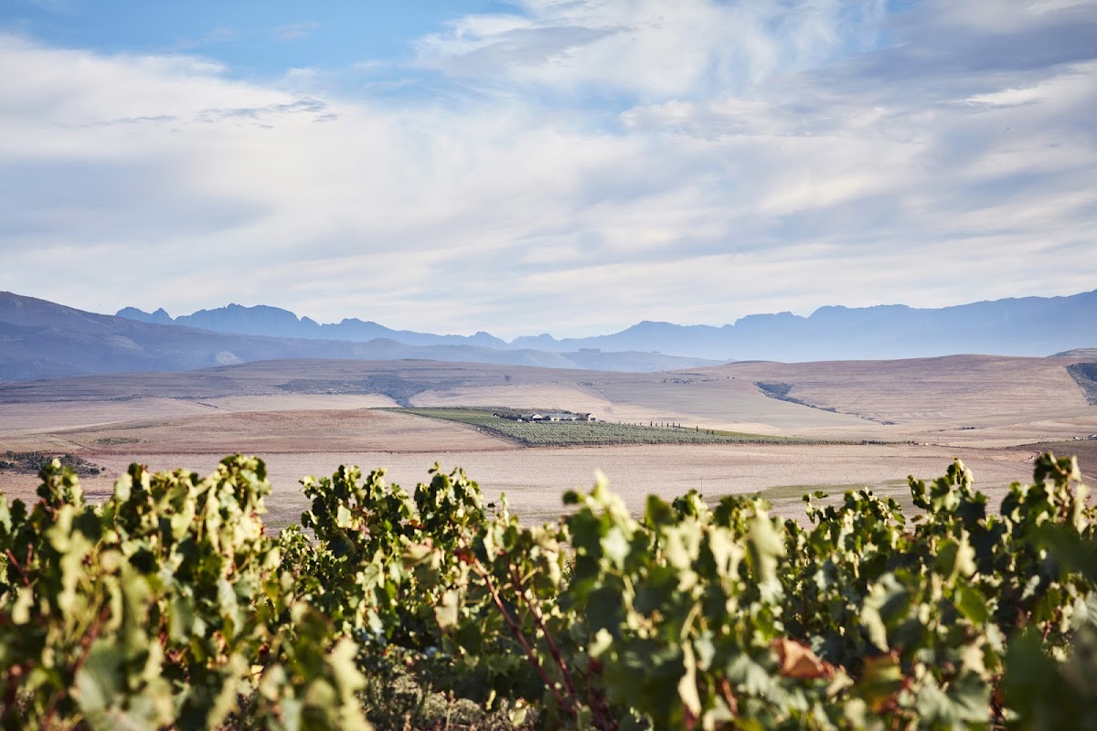 Gabrielskloof Wine Estate