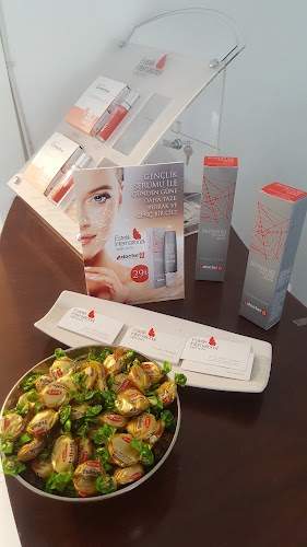 Estetik International Ankara logo