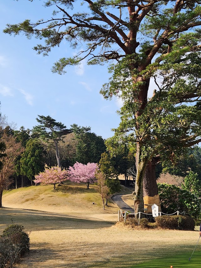 Ito Country Club - Photo 8