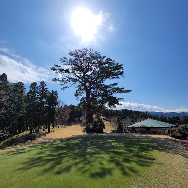 Ito Country Club - Photo 6
