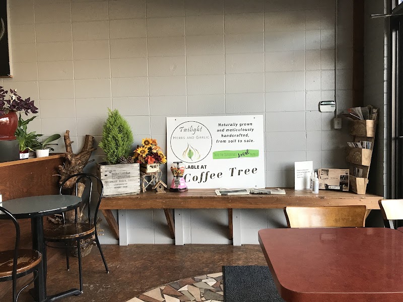 The Coffee Tree photo 4