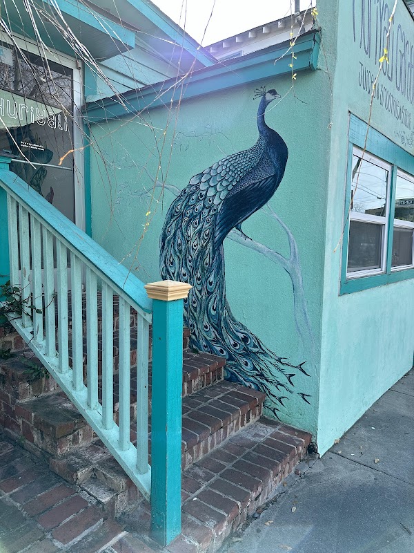 Huriyali Gardens photo 4