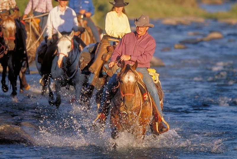 Nine Quarter Circle Ranch - Photo 5