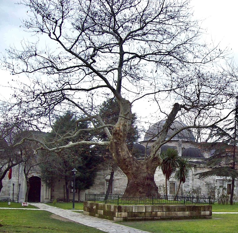 Shehzade Mosque photo 4