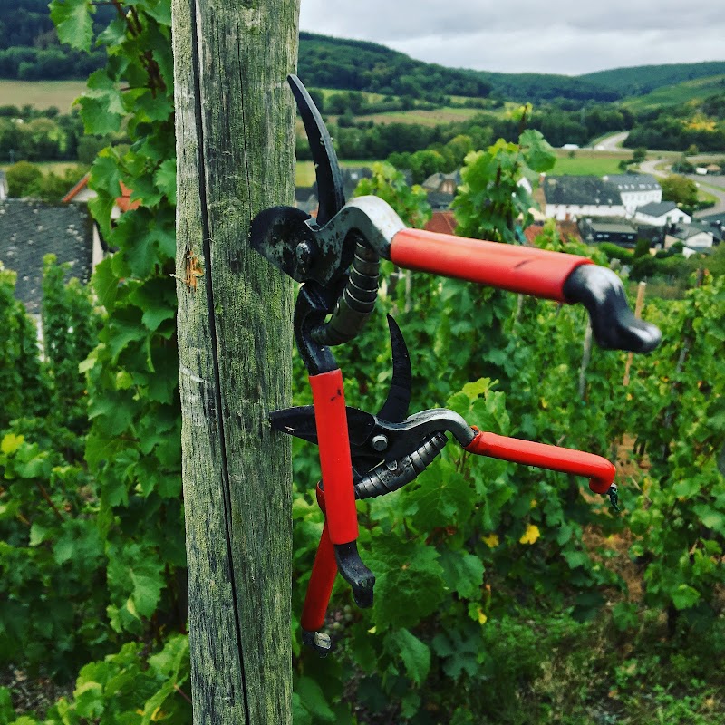 Weingut Jan Bollig