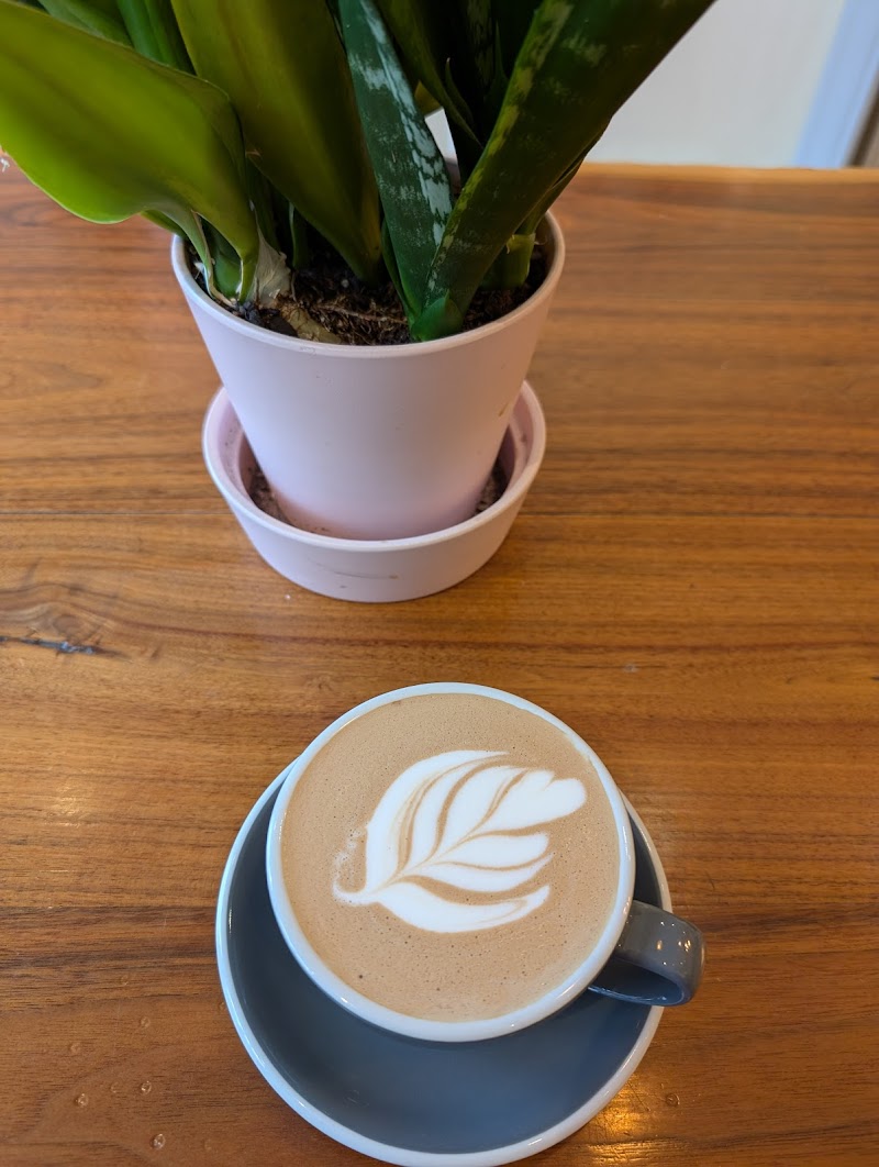 Deeper Roots Coffee photo 4