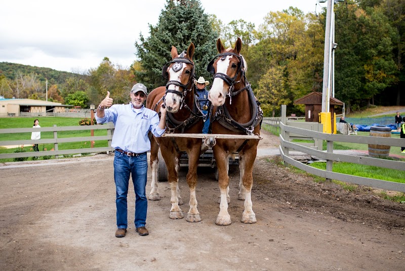 Rocking Horse Ranch Resort - Photo 6