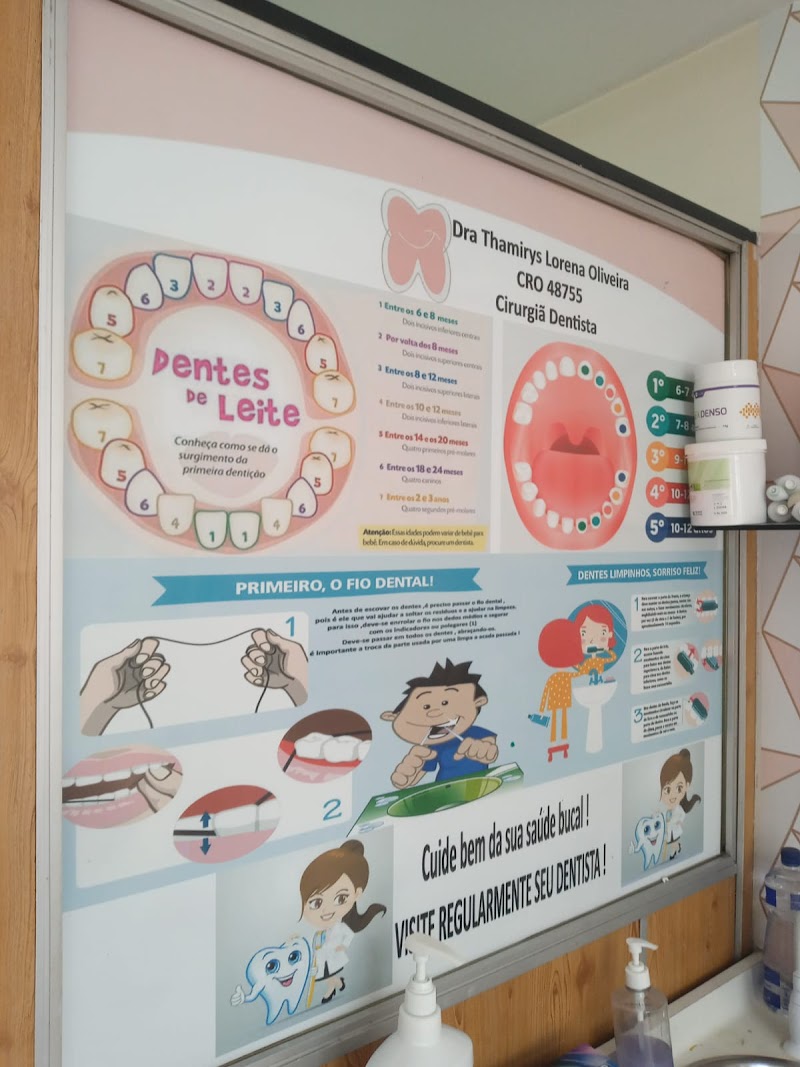 Dra Thamirys Lorena Oliveira - Cirurgiã Dentista e Odontopediatra Méier - foto 5