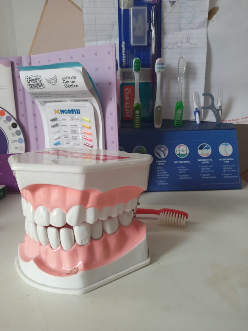 Dra Thamirys Lorena Oliveira - Cirurgiã Dentista e Odontopediatra Méier - foto 4