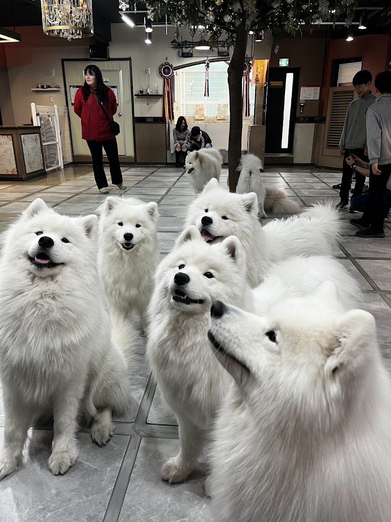 겨울이머무는집 사진 3