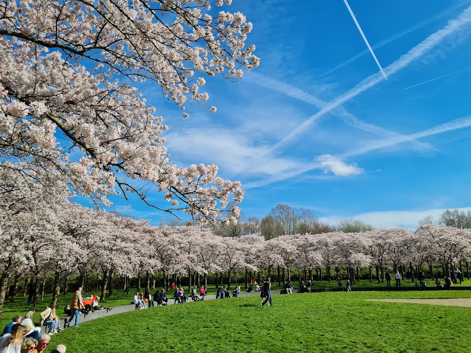 Bloesempark fotoğraf 1