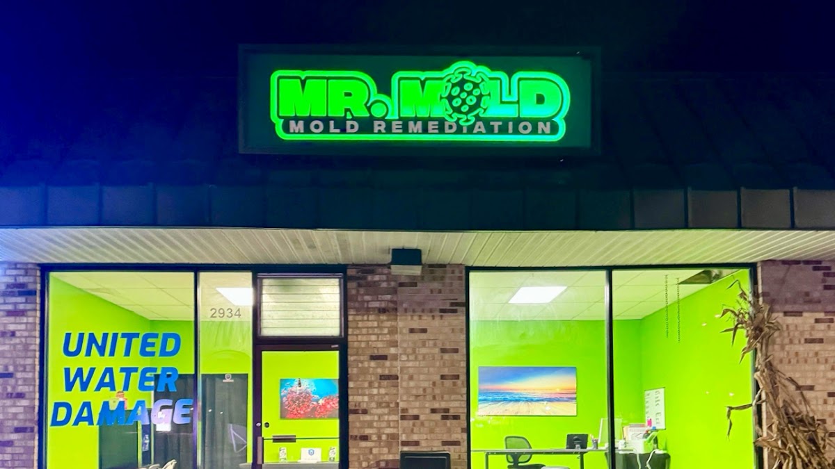 Mr. Mold of Detroit — photo