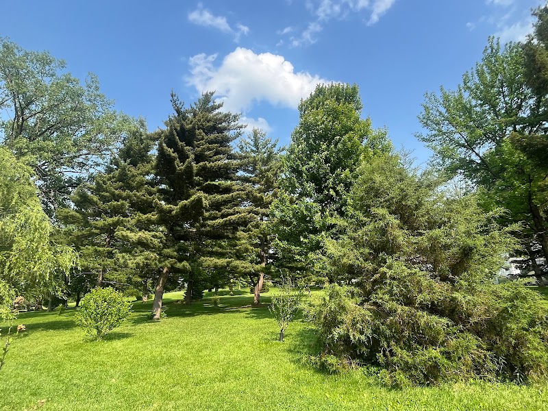 Belmont Park Disc Golf Course photo 2