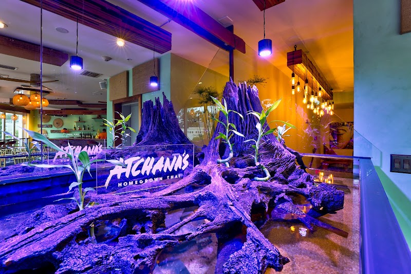 Atchana's Events & Private Party in Coconut Grove — Event Venue in Miami