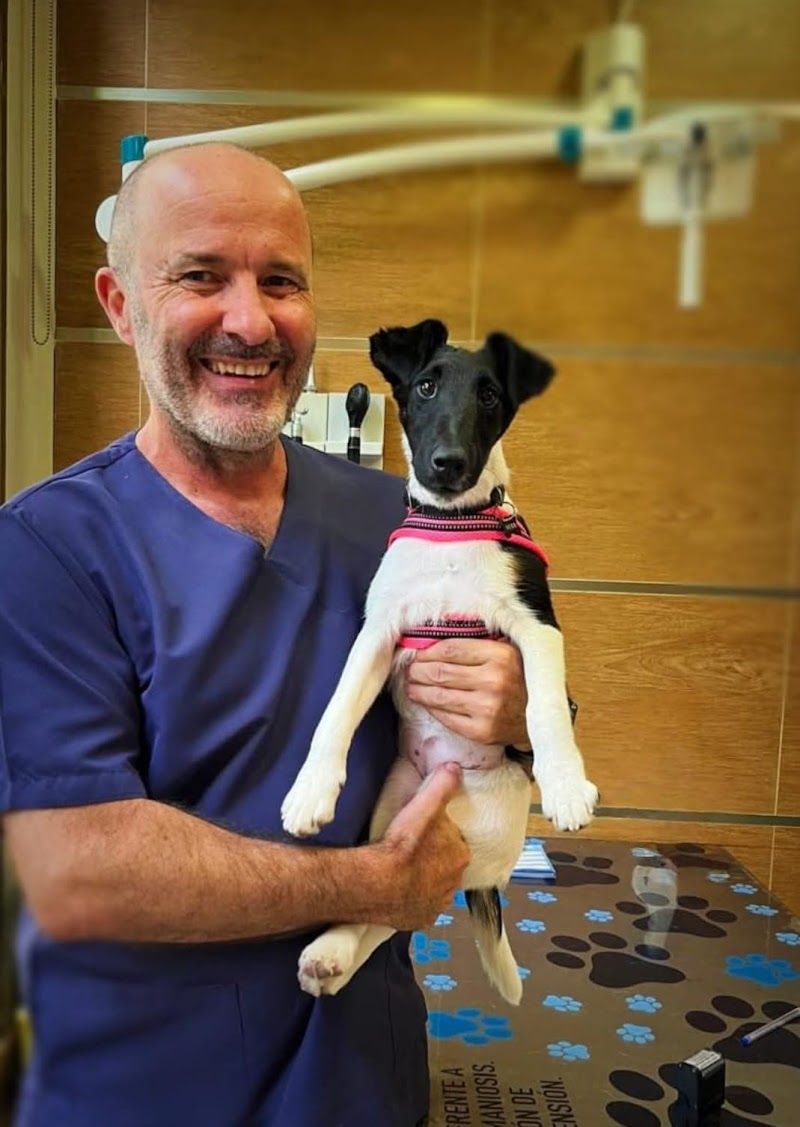 Clínica Veterinaria Zarpas y Bigotes